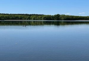 Charmantes kleines Häuschen am Blauen See