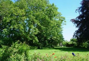 Urlaub auf dem Ferienhof Sachau – Ferienwohnung Groß
