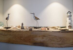 Strandläufer