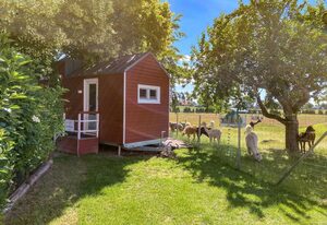 Tiny House auf der Alpaka-Farm