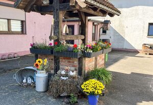 Ferienwohnung Alpaka-Idylle
