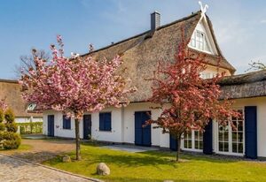 in Groß Schwansee mit Offenem Kamin