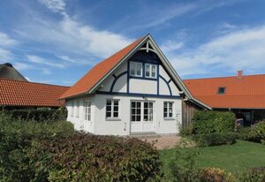 Sternschnuppe