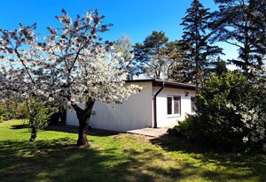 mit Terrasse mitten im Grünen