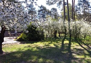 mit Terrasse mitten im Grünen
