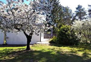 mit Terrasse mitten im Grünen