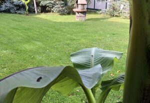mit Garten, Grill und Terrasse