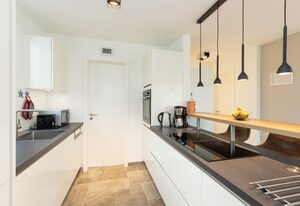 Irish Cottage Seeschwalbe