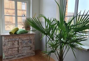 Altes Lazarett Gästehaus – Einzelzimmer 7