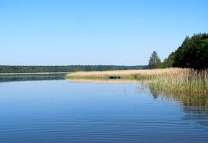 Ritters Ferienhus – Wald und See .4