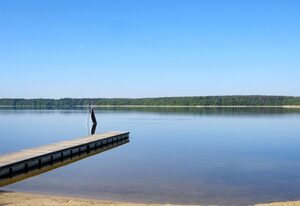 Ritters Ferienhus – Wald und See .4