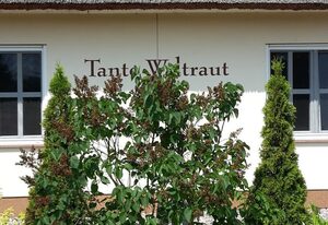 Häuschen "Tante Waltraut"
