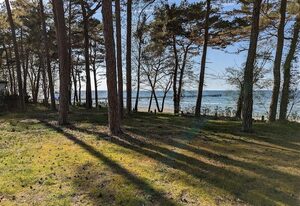 Ferienbungalows an der Promenade – Ferienbungalow Momo