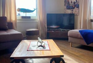 "Bunte Kuh" Borkum