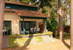 Ferienhaus Waldschneise A am Jabeler See