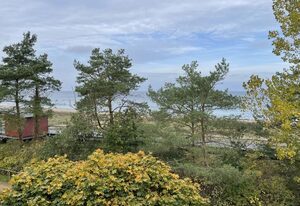 Strandflieder Zimmer 206