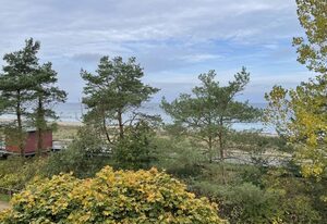 Strandflieder Zimmer 302