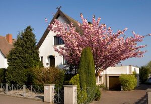 KuR Sommer - Caravan-Stellplatz