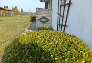 Karlshagen, Haus Boettcher - Bungalow 1 und 2 – WG 01