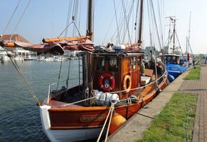 Albatros
