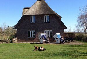 Triibergem 39 - DHH – Ferienhaus in Utersum: 75 m², Garten, 500 m zum Strand, Hunde willkommen