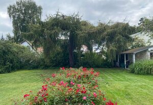 Villa Cremona – Deluxe Apartment - Gartenebene