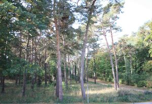Ferienpark Streckelsberg *10 Min. zum Ostseestrand* – Seemöwe 103