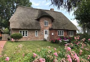 WattLütt