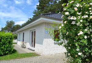 Ferienhaus Albatros