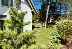 Ferienhaus Lotsenstieg 6