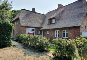 Traumkoje - Wohnung 5 – Ferienwohnung Traumkoje - mit Sauna, Terrasse & Parkplatz in Alkersum