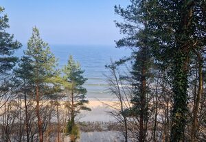 Koserow Hotel Wald und Meer – Zimmer Z15KC