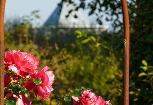 Ahlbeck, Schloss Hohenzollern - W 28 – W 28 - DG