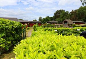 Ferienhäuser Räuberkuhle 1 – Haus Koserow TUI