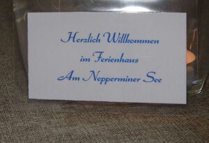 Ferienhaus am Nepperminer See