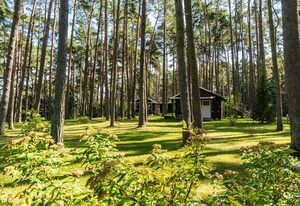 Urlaub im Bungalow - mitten im Wald – Bungalow Nr. 20