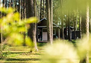 Urlaub im Bungalow - mitten im Wald – Bungalow Nr. 20