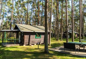 Urlaub im Bungalow - mitten im Wald – Bungalow Nr. 20