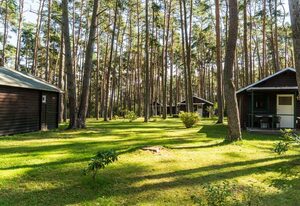 Urlaub im Bungalow - mitten im Wald – Bungalow Nr. 20