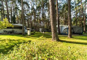 Urlaub im Wohnwagen - mitten im Wald – Wohnwagen 07