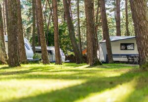 Urlaub im Wohnwagen - mitten im Wald – Wohnwagen 07