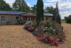 Ferienresort Möwenort Ferienwohnung