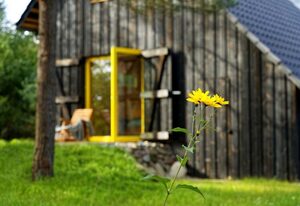 Minna-Busch-Weg – "Ferienhaus Mistral: Erleben Sie Ihren perfekten Urlaub in Loddin!"
