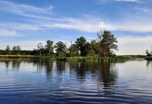 FH Weininsel am Haff – FH Weininsel am Haff, Fewo Silvaner