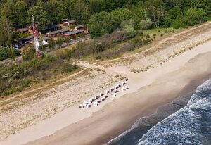 Strandläufer