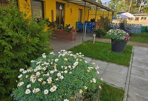 Kleiner Bungalow  Wiesenperle