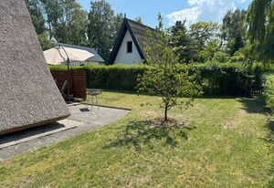 Reetdachhütte im Birkenhain
