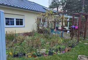 Ferienhaus 1 Wiesenperle