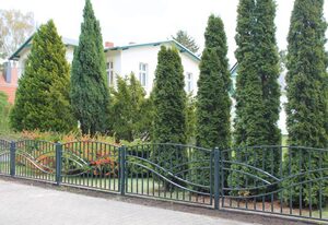 Villa Friedemann – Ferienwohnung 1 zum Tor