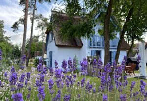 Ferienhaus Silbermöwe 136qm drei SZ- Sauna & Kamin – Ferienhaus Silbermöwe-136 qm mit Sauna, Kamin & 2 Terrassen